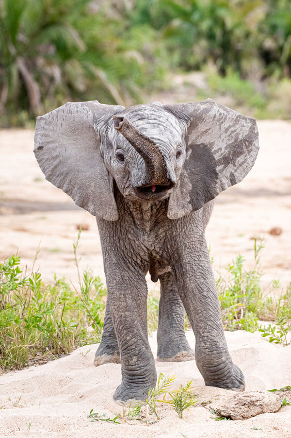 Gallery impression 6